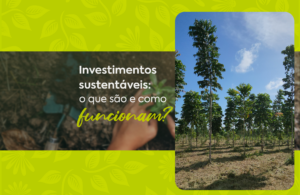 Investimentos Sustentáveis o que são e como funcionam