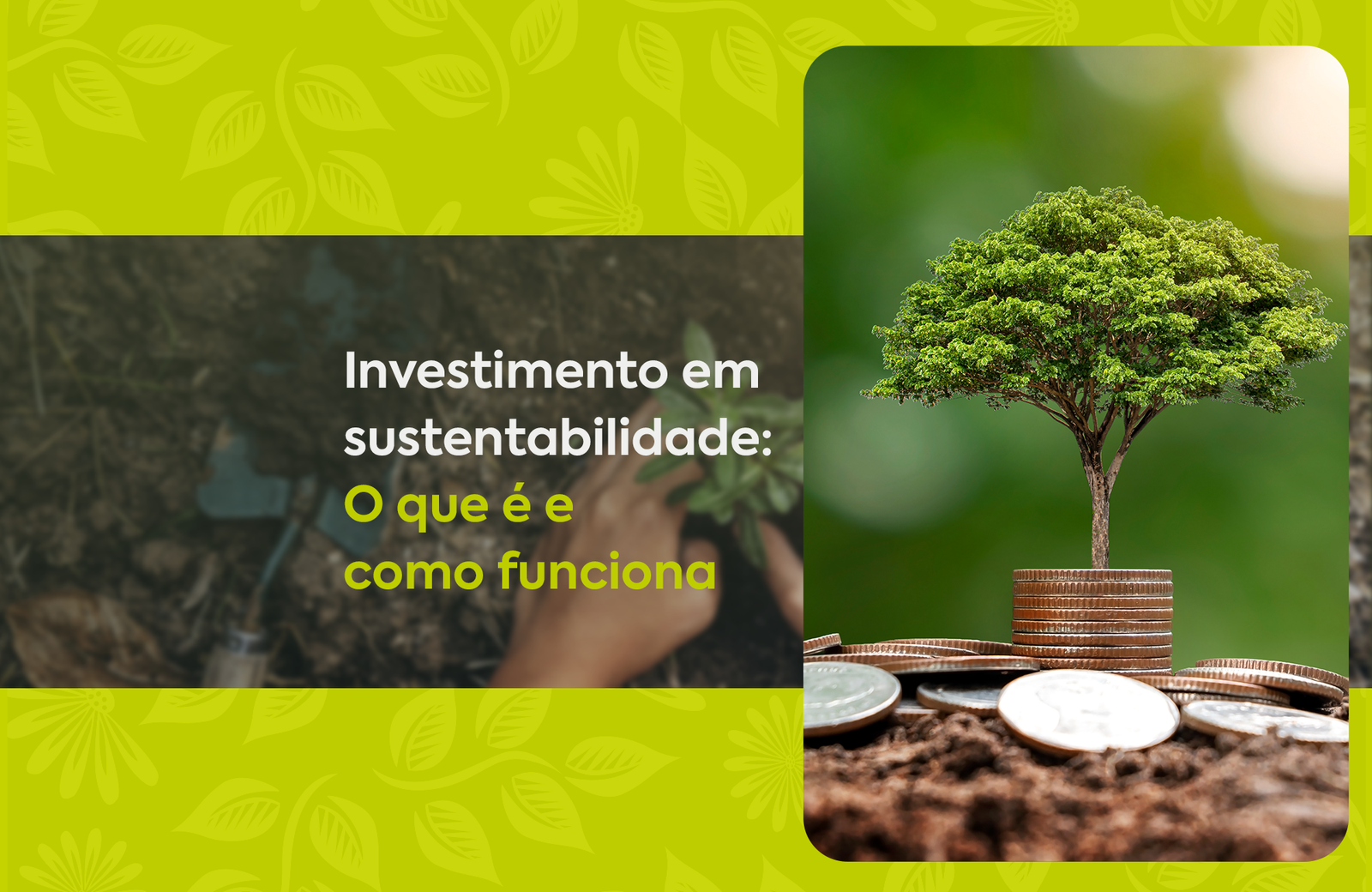Investimento em sustentabilidade O que é e como funciona