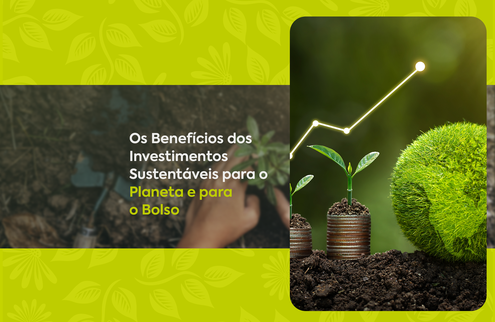 Os Benefícios dos Investimentos Sustentáveis para o Planeta e para o Bolso