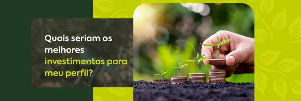 Quais seriam os melhores investimentos para meu perfil