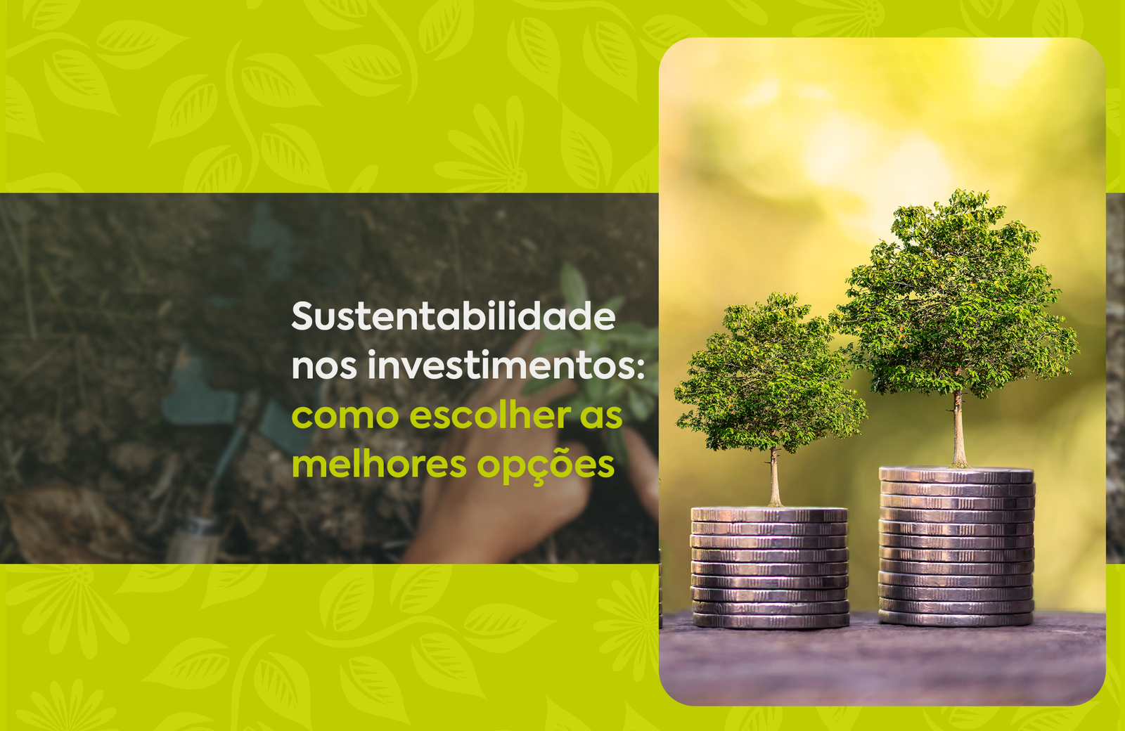 Sustentabilidade nos investimentos como escolher as melhores opções